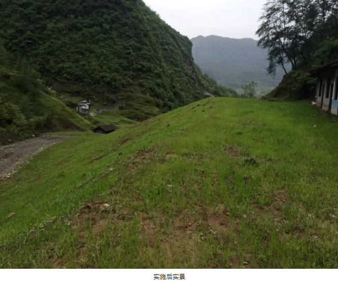 1747708875200015.png image.png