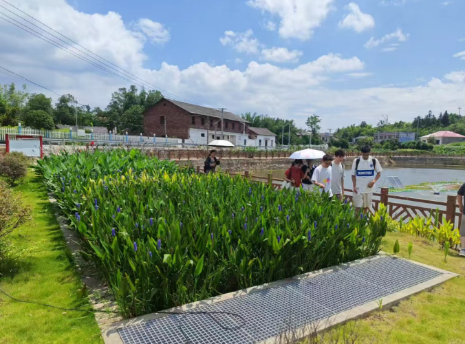 1752656347178568.png 1752656276913.png